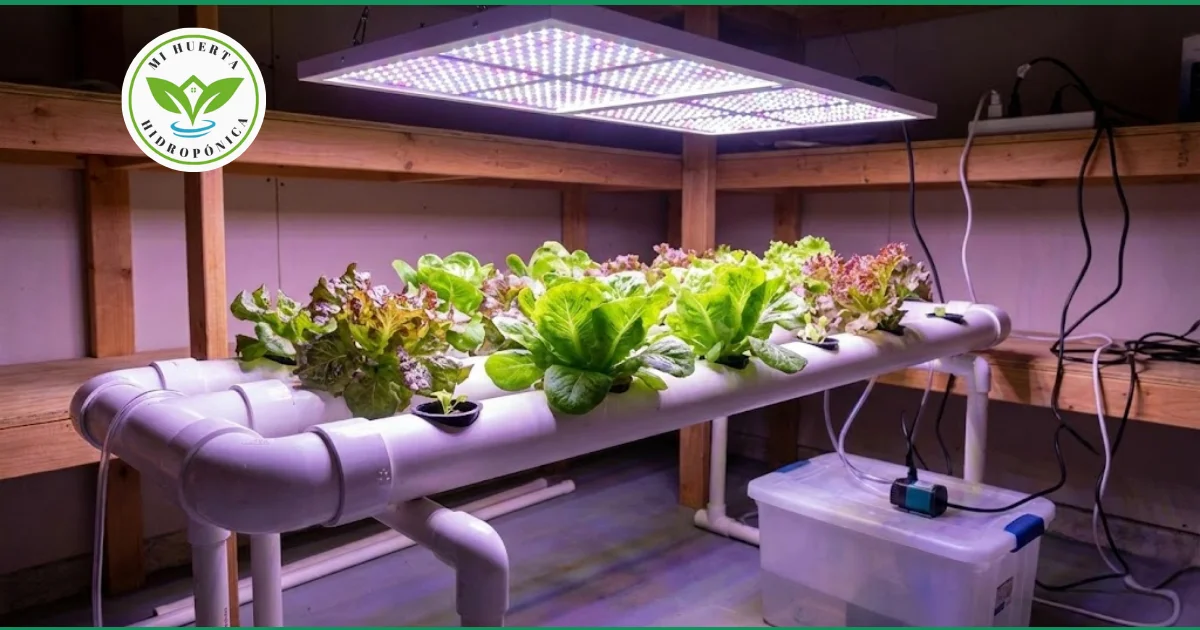 Un panel de luces LED de espectro completo iluminando un cultivo de lechugas hidropónicas.