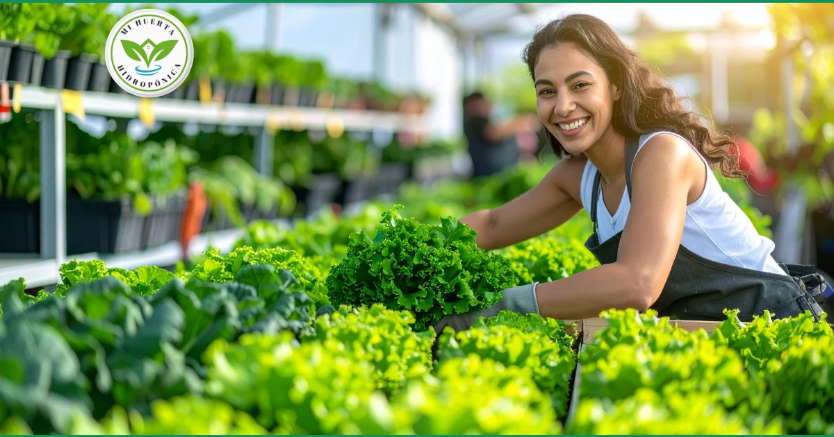 Cómo Iniciar un Negocio Rentable de Hidroponía en Casa: Guía Paso a Paso 2025