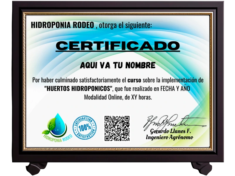 Mockup del Certificado de Finalización.