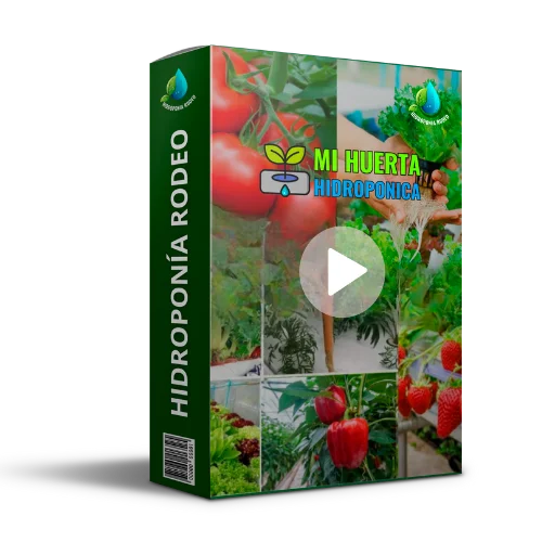 Imagen promocional del curso Mi Huerta Hidropónica.